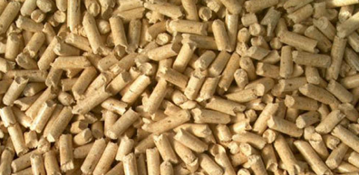 bastones combustibles