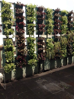 jardines verticales