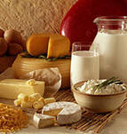 lacteos y quesos