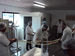 Procesamiento alimentos