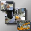 procesamiento alimentos