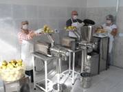 procesamiento alimentos