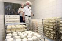 procesamiento alimentos